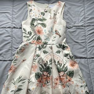 Next Floral Patterned Dress